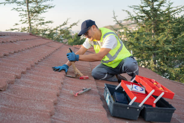 Roof Gutter Cleaning in Portland, TN